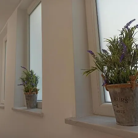 Astral Brand New Studio 5 Appartement